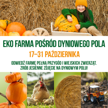 EKO FARMA POŚRÓD DYNIOWEGO POLA