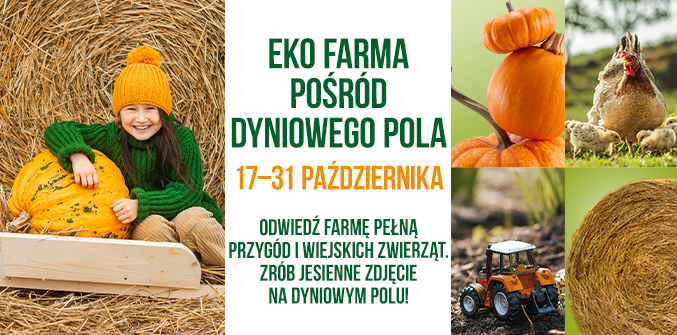 EKO FARMA POŚRÓD DYNIOWEGO POLA