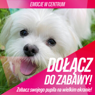 ðð¾ ZABAWA WALENTYNKOWA DLA CIEBIE I TWOJEGO PUPILA W PROMENADZIE! ð¾ð