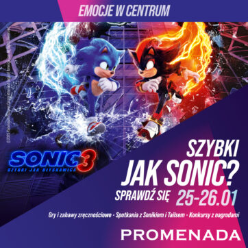 Szybki jak Sonic? Sprawdź się już